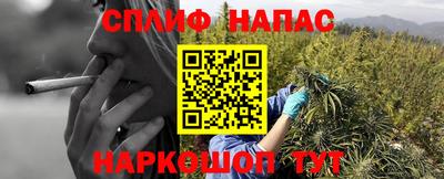 спиды Жуковский