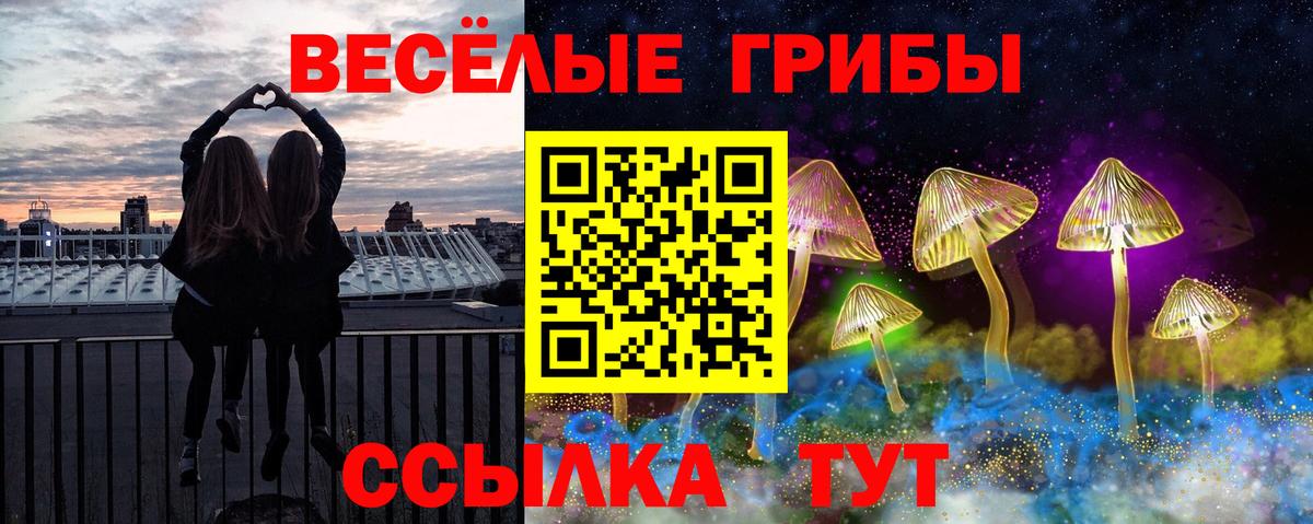 Псилоцибиновые грибы Cubensis Магнитогорск