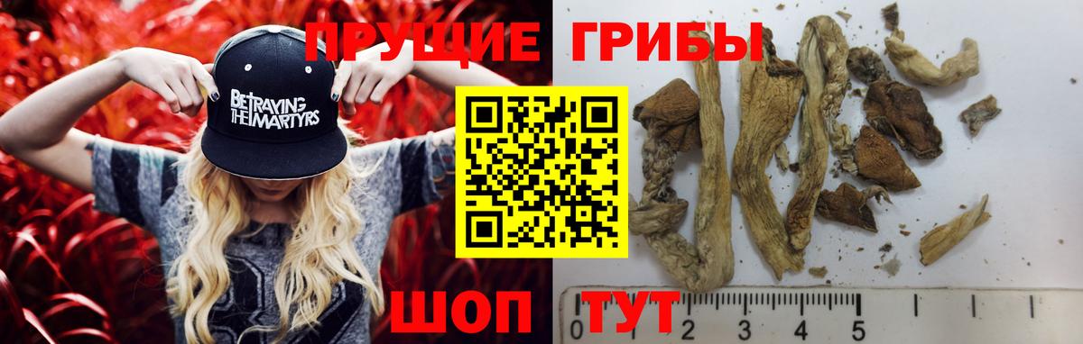 Галлюциногенные грибы мухоморы  Псилоцибиновые грибы прущие грибы  Магнитогорск  как найти наркотики  Вход с VPN 